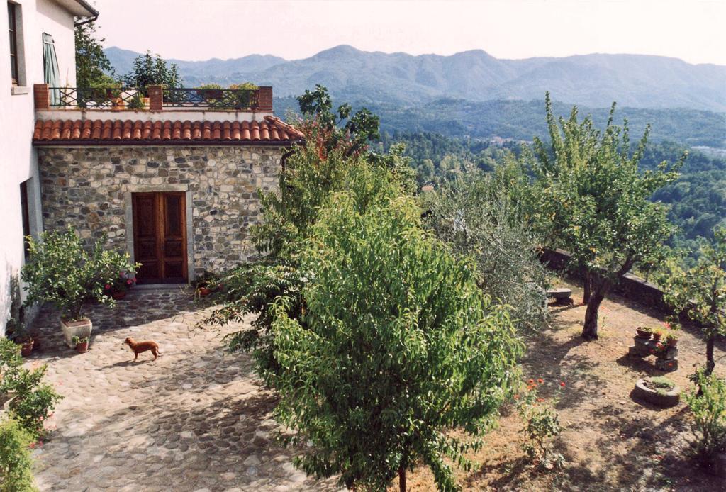 Forni Rosaia Villa Olivola Kültér fotó